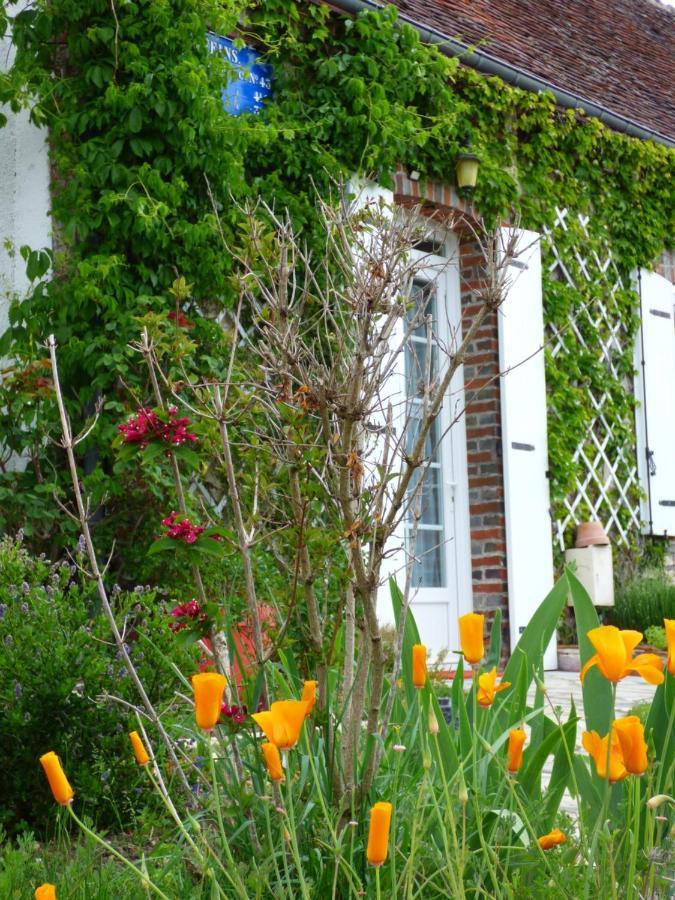 Chambres D'Hotes Les Muscaris Feins-en-Gatinais Eksteriør billede